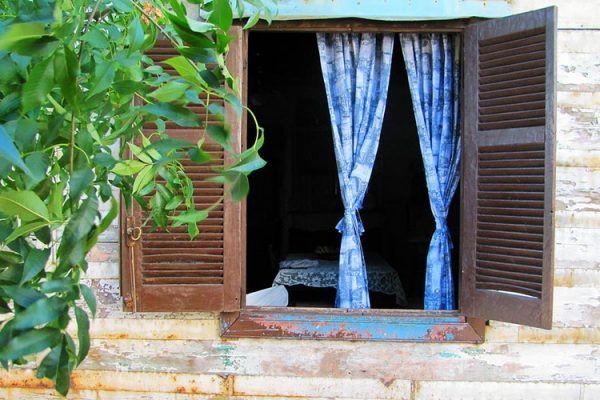 ¿Cómo sobrevivir al calor del verano?
