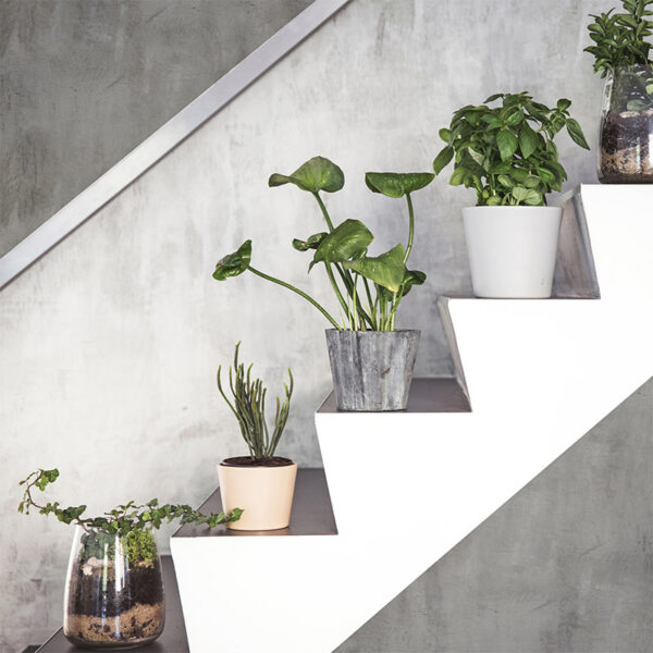 vinilo decorativo Cemento Grey Escaleras