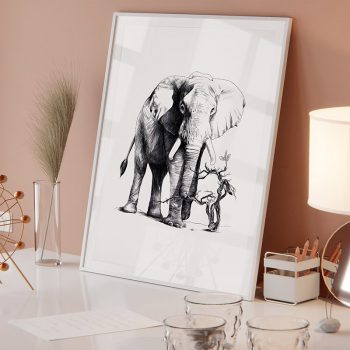 Animales