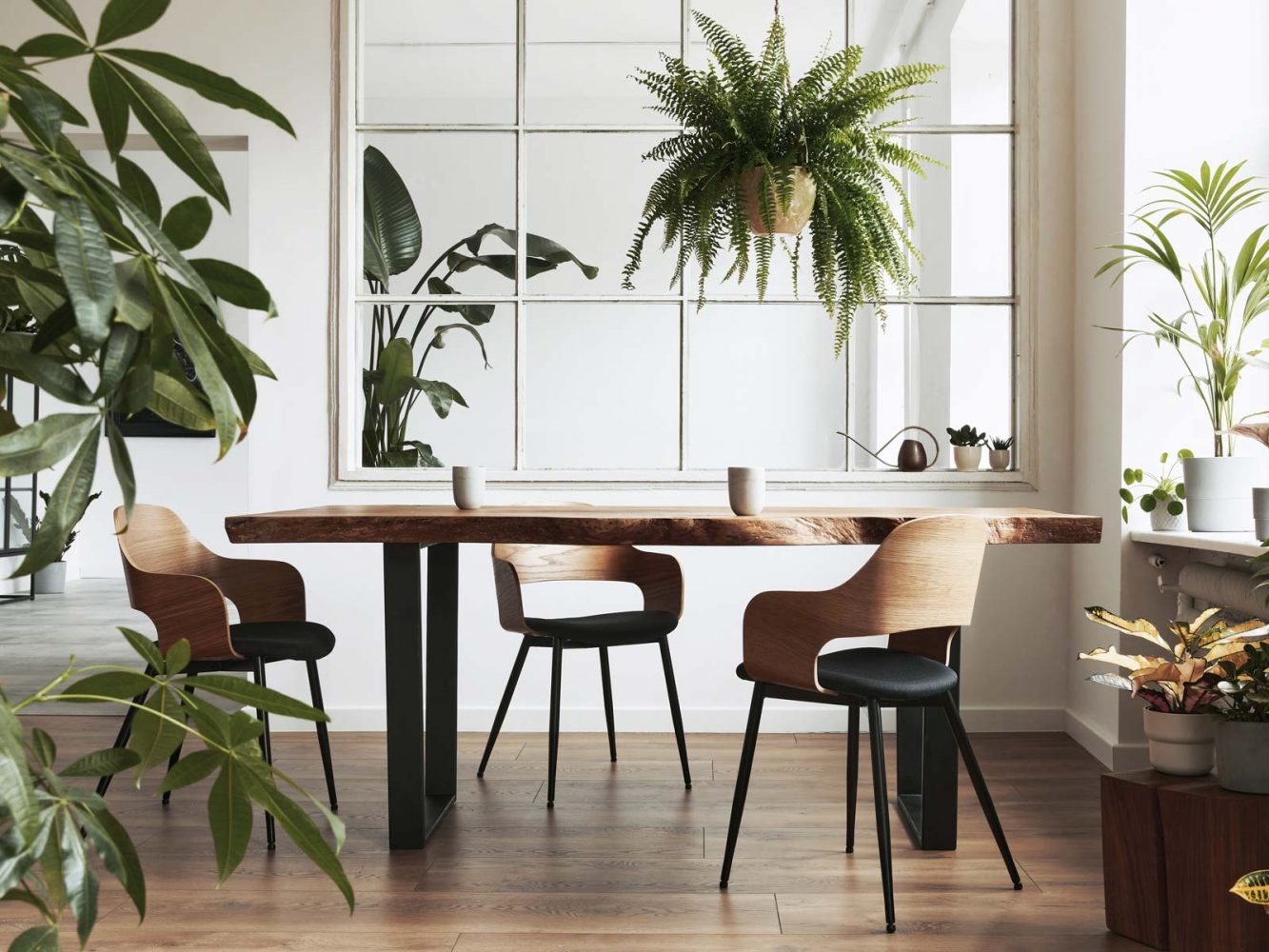 Estilo botánico para un hogar fresco y natural - Printodecor.com