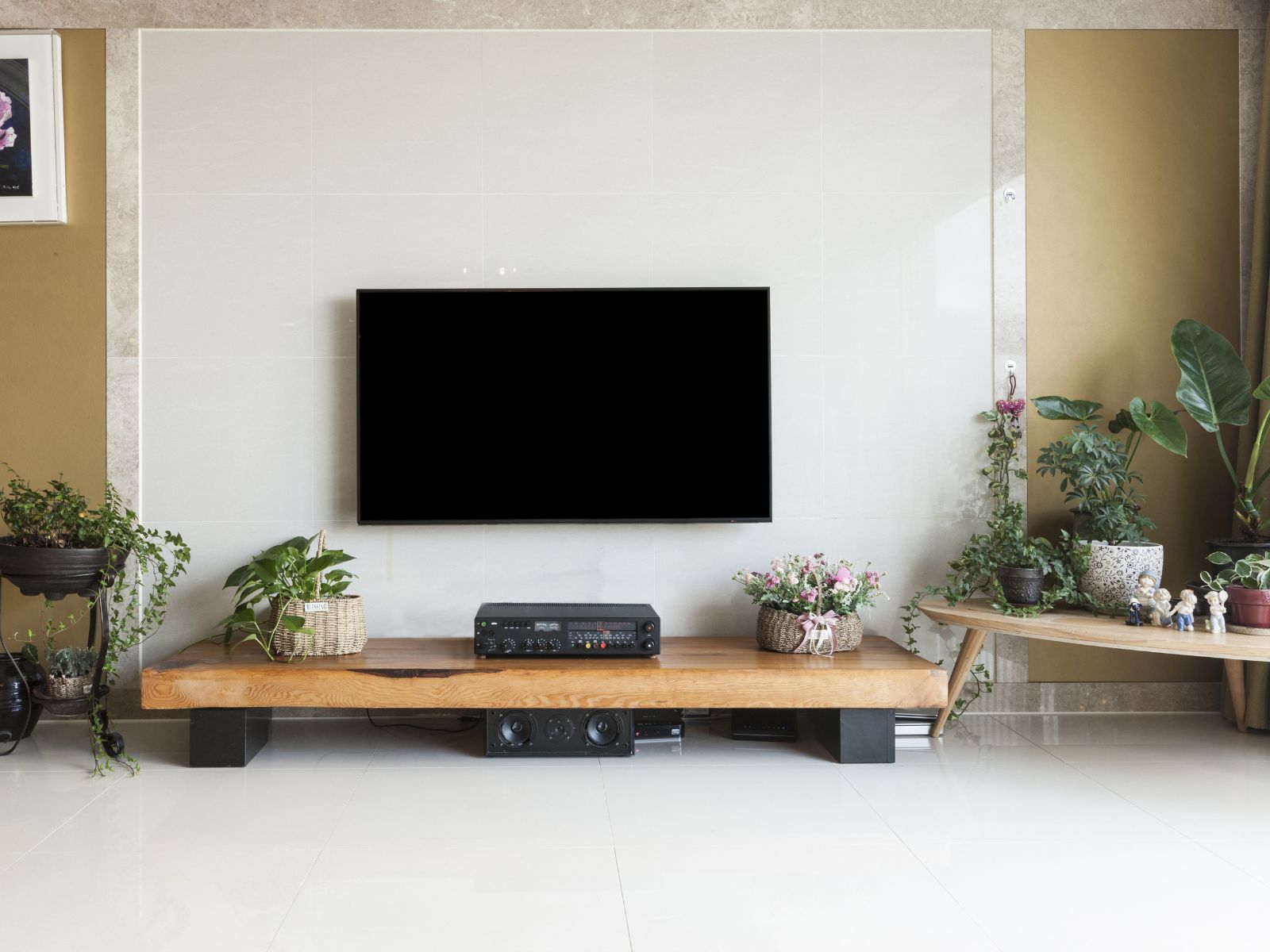 pared televisor plantas