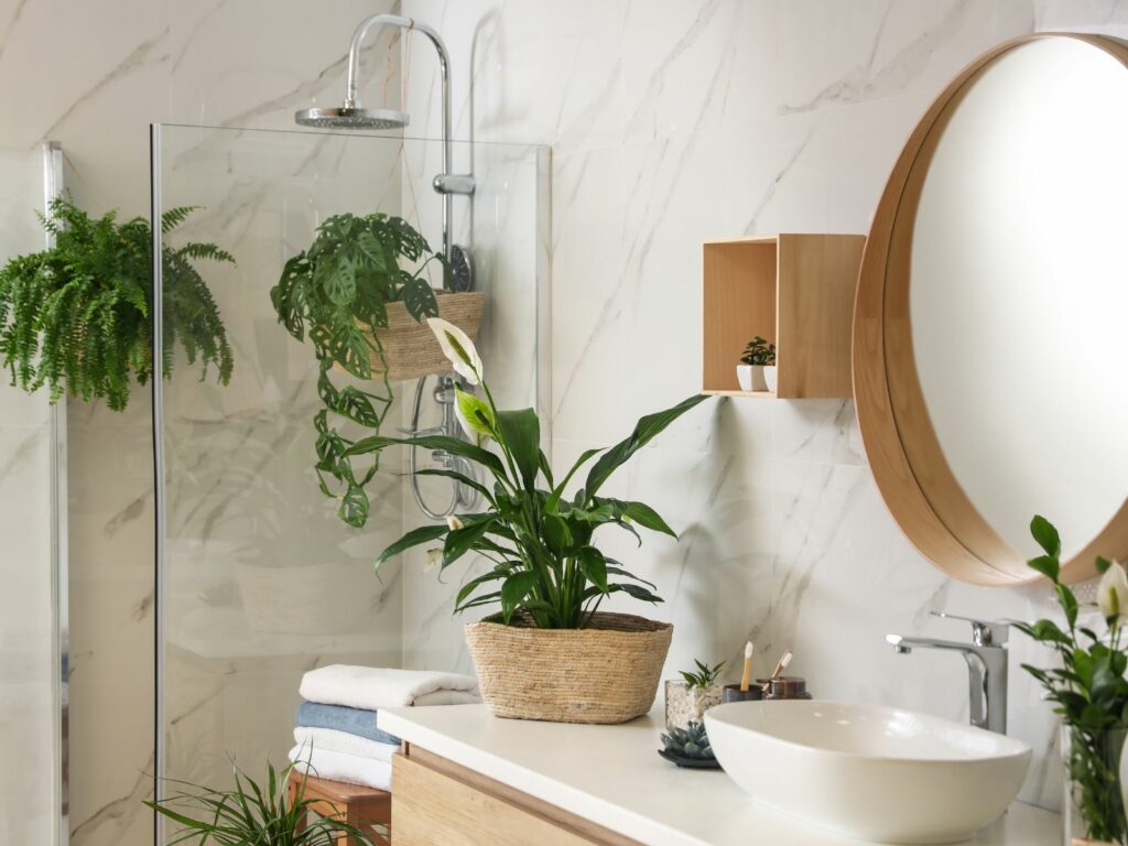 plantas baño